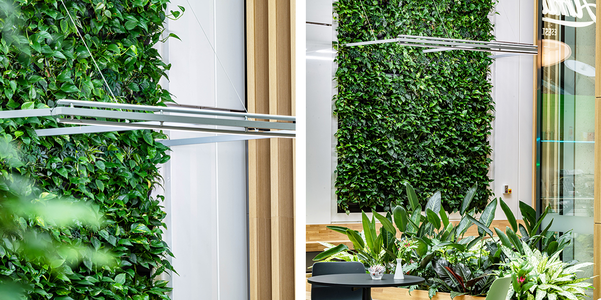 Mobilane LivePanel Indoor Natural green wall in the atrium, office of the Sartorius Group