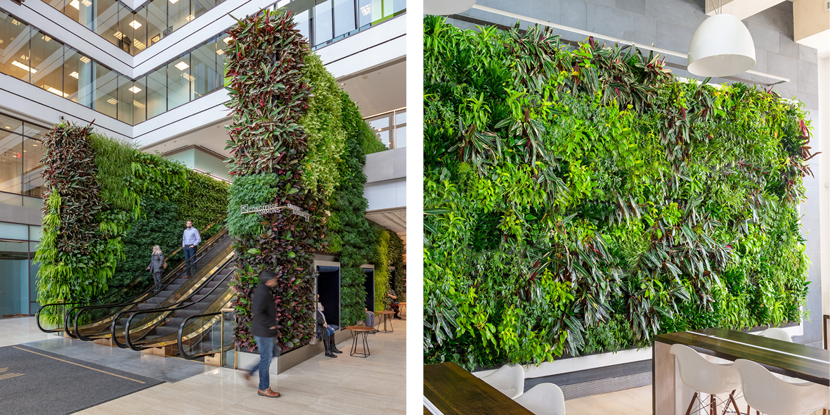 indoor green wall system