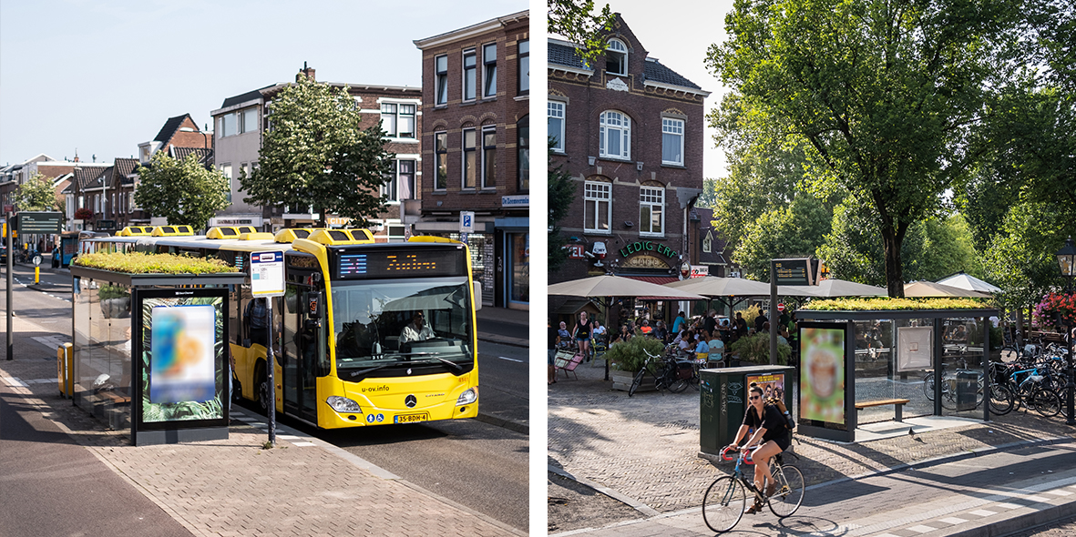 Mobilane MobiRoof Green roofs on bus shelters in cities