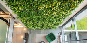 Mobilane LivePanel Indoor green wall Specialized