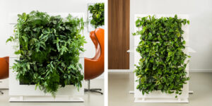 Groene roomdivider in verschillende maten