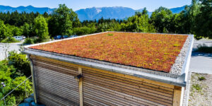 Mobilane MobiRoof ECO green roof