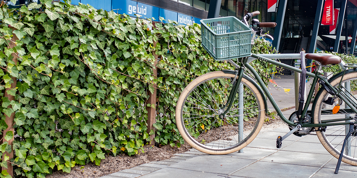 Mobilane website InText image instant green hedges The Wall Shopping Centre Utrecht