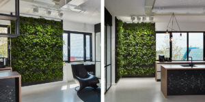 Mobilane LivePanel Indoor plant walls iClicks