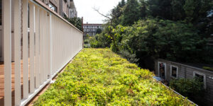 Mobilane MobiRoof ECO green roof on a balcony