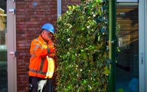 Mobilane Green Screens green boundary fences Haagse Hendrik 1