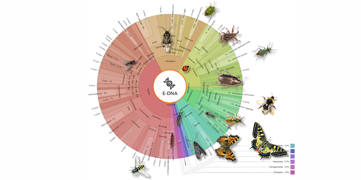 Mobilane website InText image DNA Insectenscan