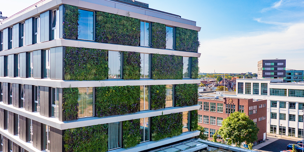 A living wall for application of the DNA InsectScan