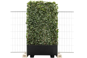 Green construction fence with Hedera