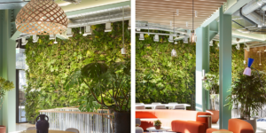 Living wall with more than 2000 plants