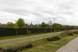 Lärmschutzwand aus Fertighecken neben der Autobahn