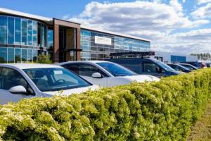 Von der Blüte zur Beere: Die Fertighecke Pyracantha von Mobilane