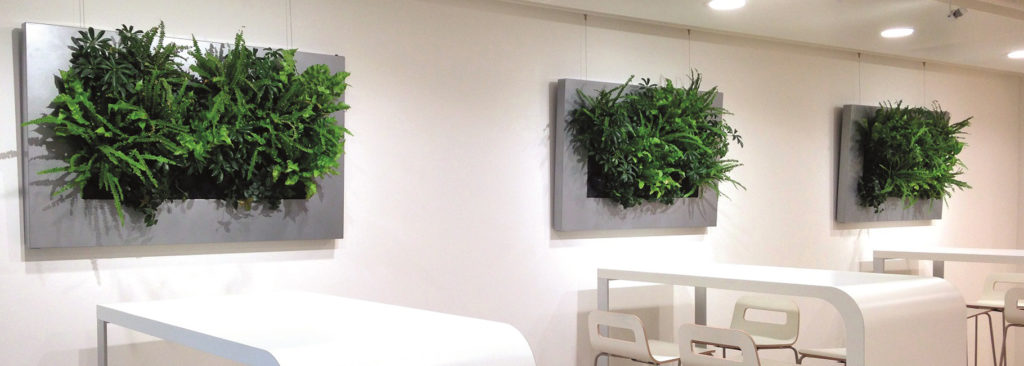 Urban Roof Gardens