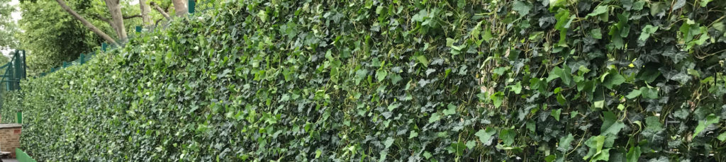 green screens improve air quality