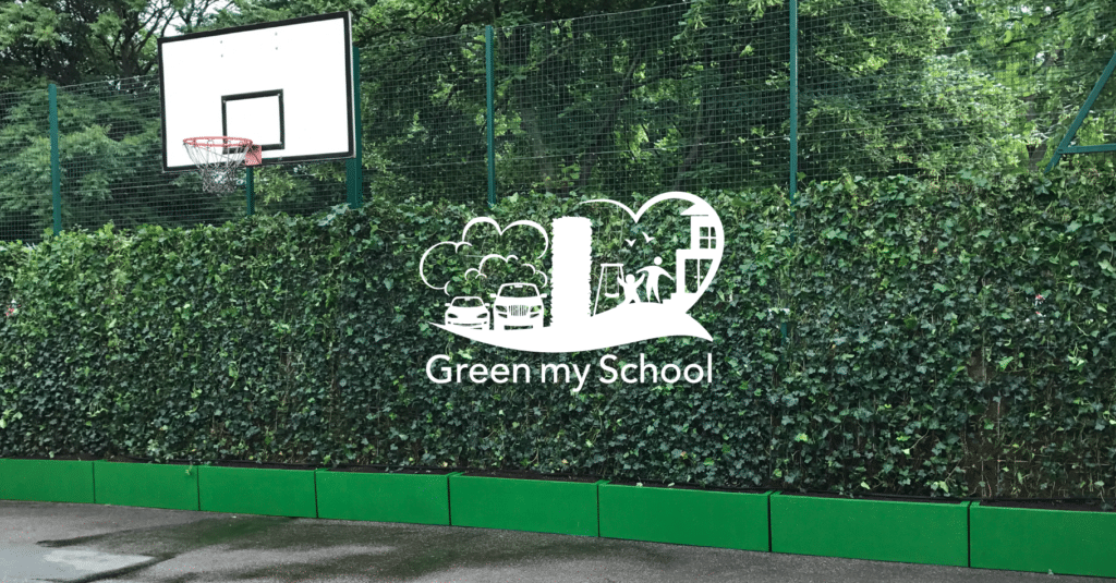 Green My School Header