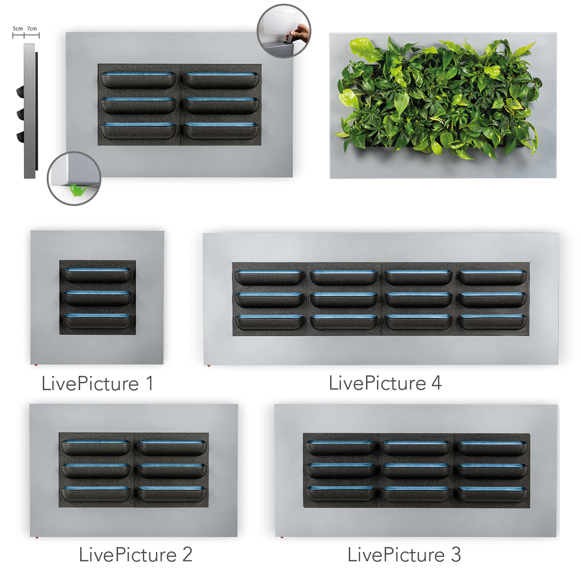 Mobilane LivePicture Planten schilderij