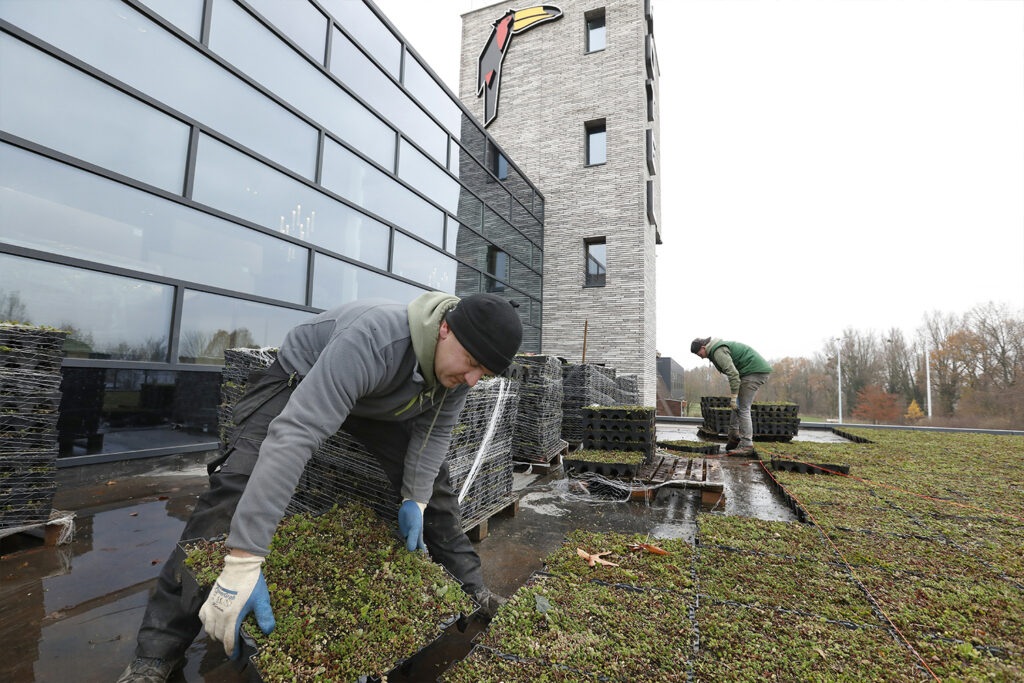 Mobilane MobiRoof Groen dak bij Van der Valk Heerlen