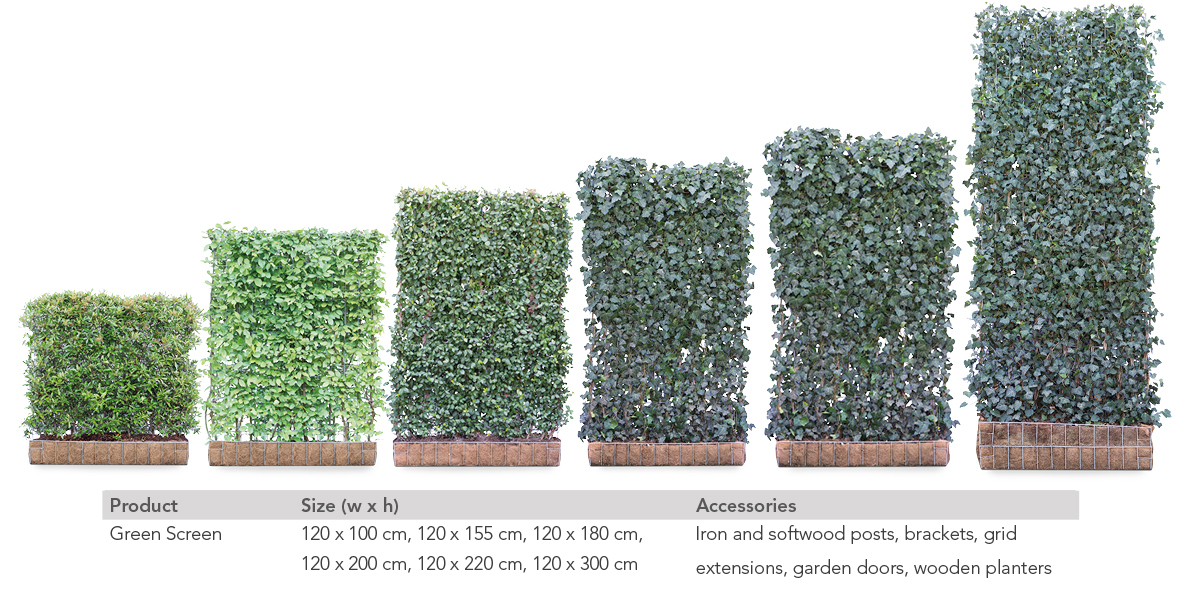 Mobilane Green Screen An Instant Green Hedge Panel Mobilane