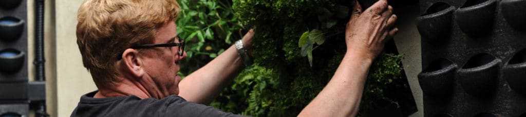 Technician maintaining a LivePanel green wall on Victoria Road, London