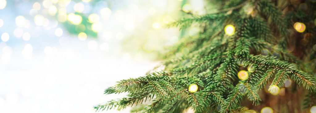 Kerstboomtak met lichtjes, kerstwens 2018