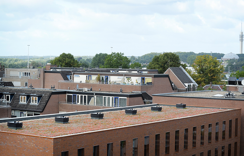 Mobilane MobiRoof Green Roof system