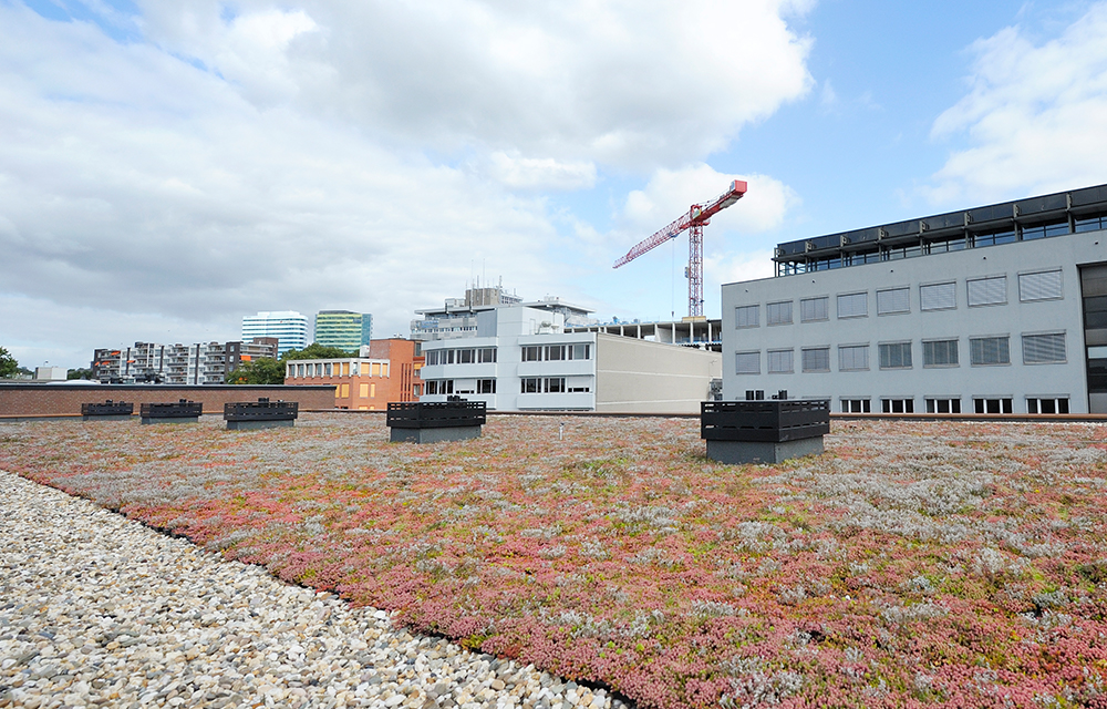 Mobilane MobiRoof groen dak systeem Arnhem