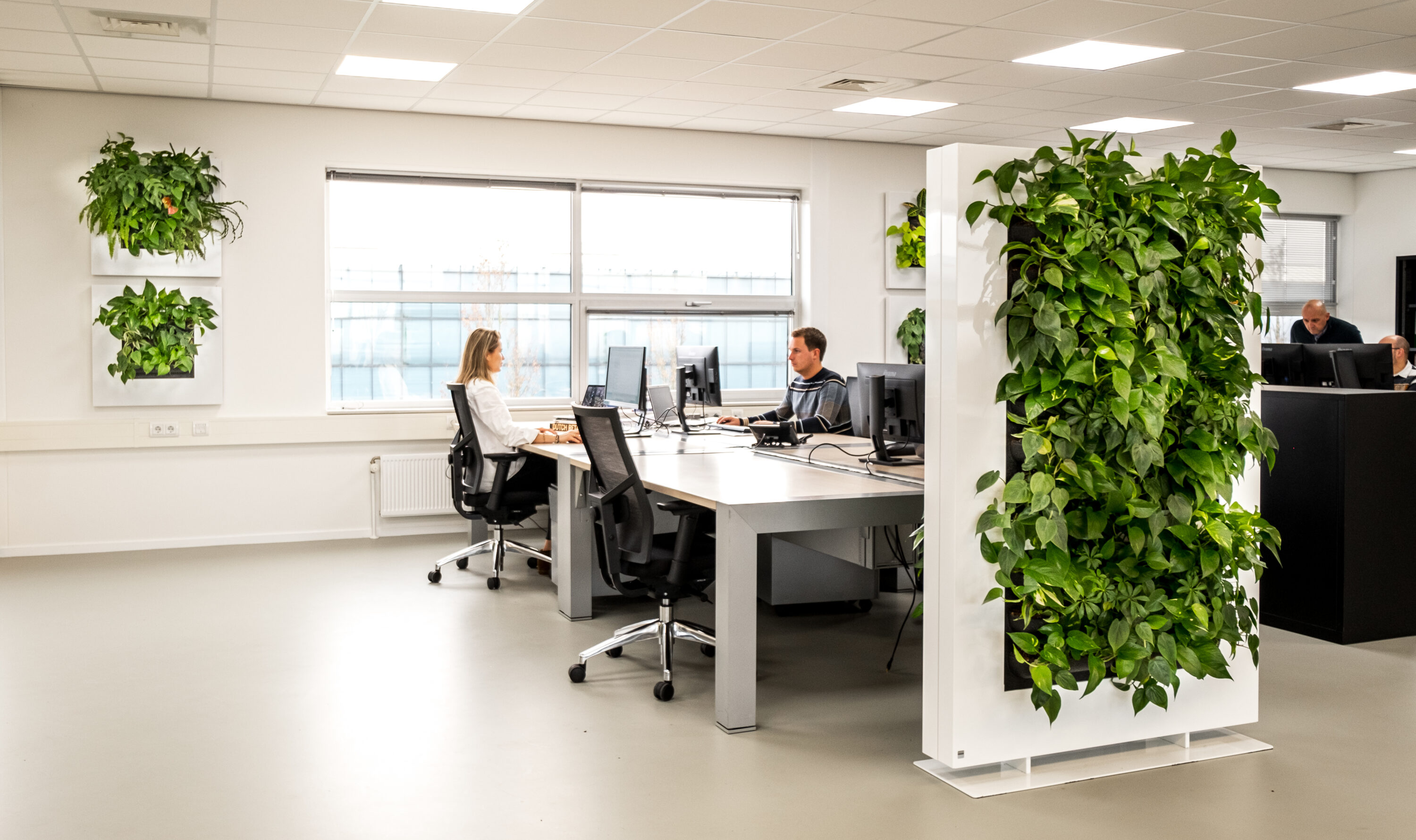 Mobilane 6 benefits of plants in the office