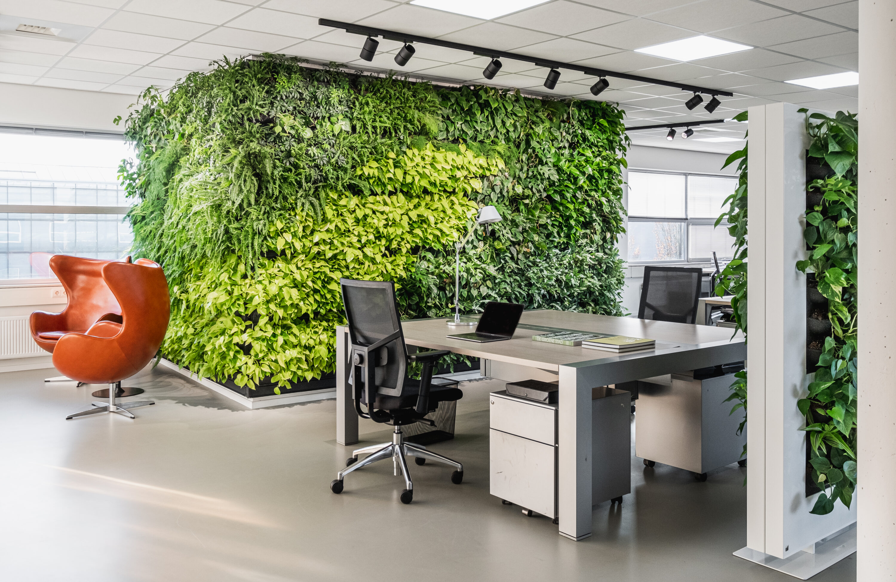 Green Office Design Ideas