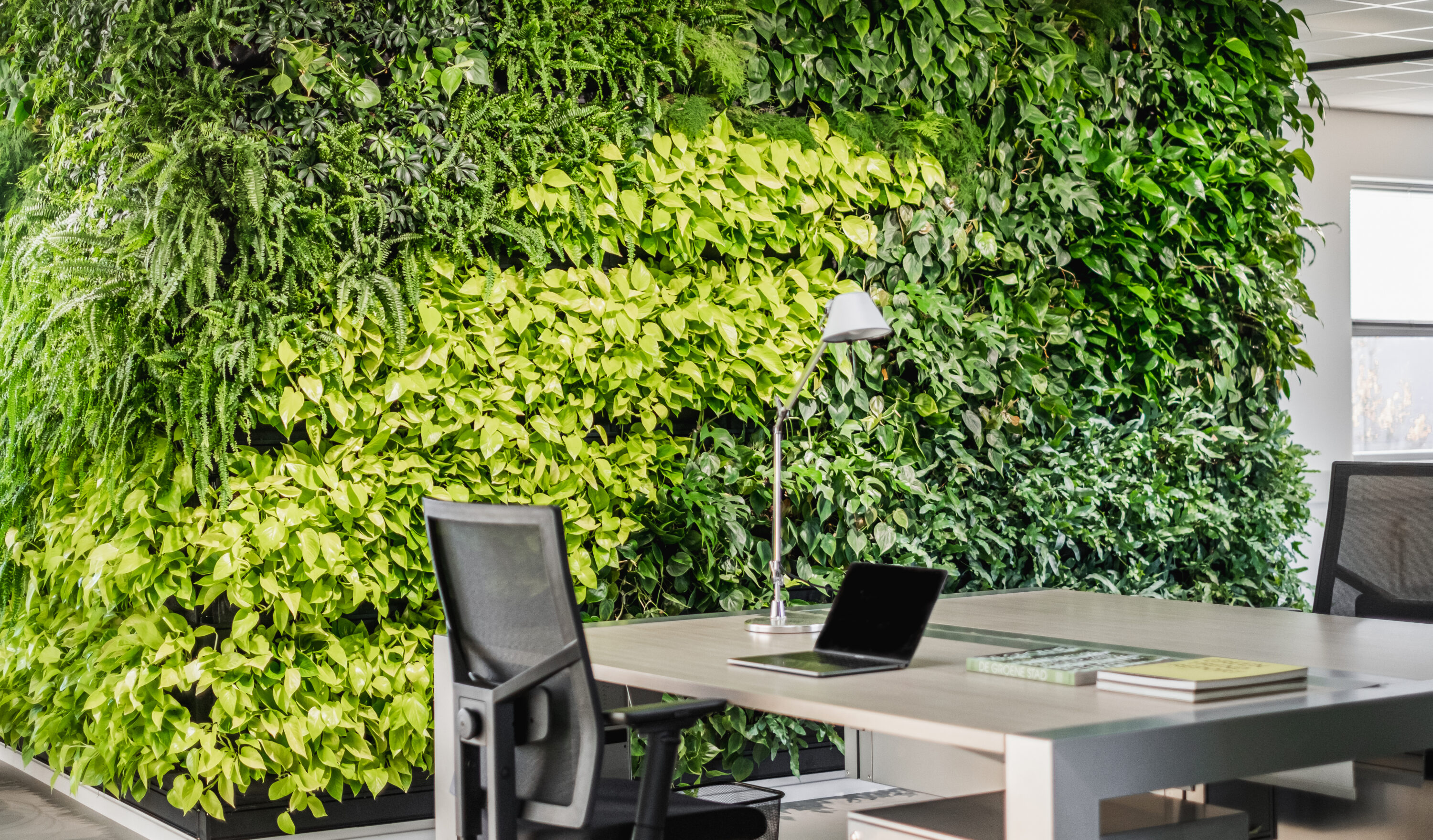 Mobilane 6 benefits of plants in the office