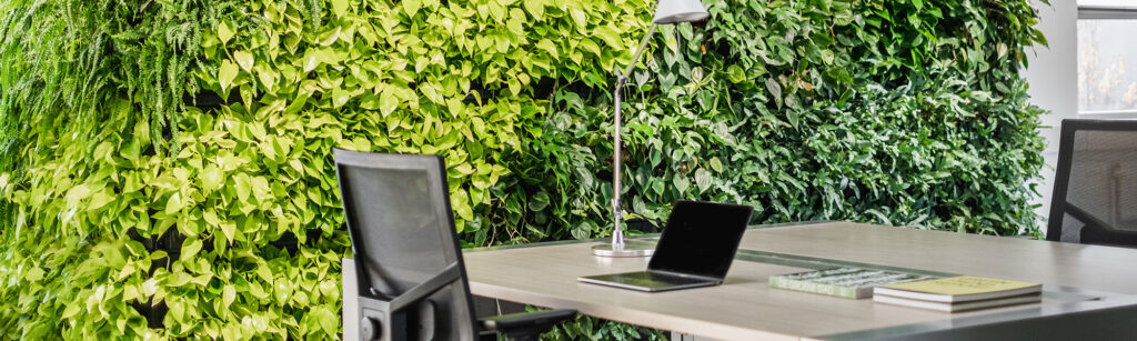 6 benefits of plants at the office