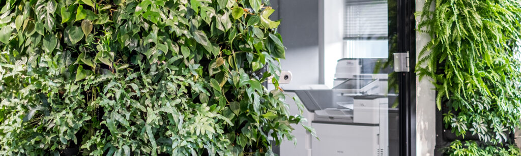 What is the return on investment when it comes to plants in the office?