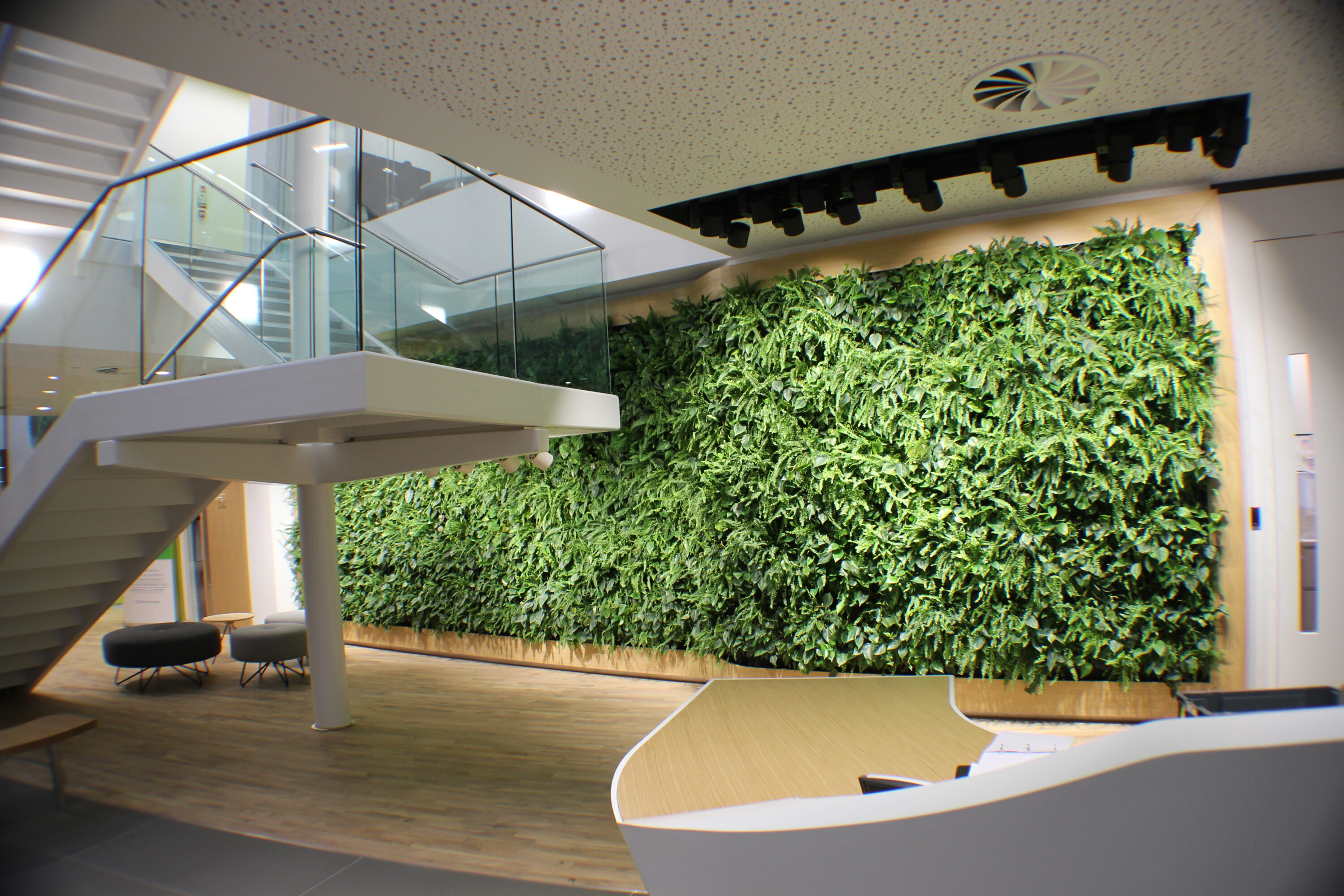 Vertikaler Garten im Innenbereich | Mobilane