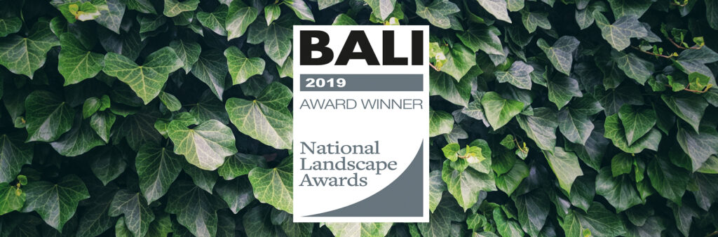 Mobilane BALI Affiliate Exceptional Service Award 2019