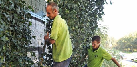 Mobilane website Header NoiStop Kant en Klaar Haag Groen tegen graffiti!