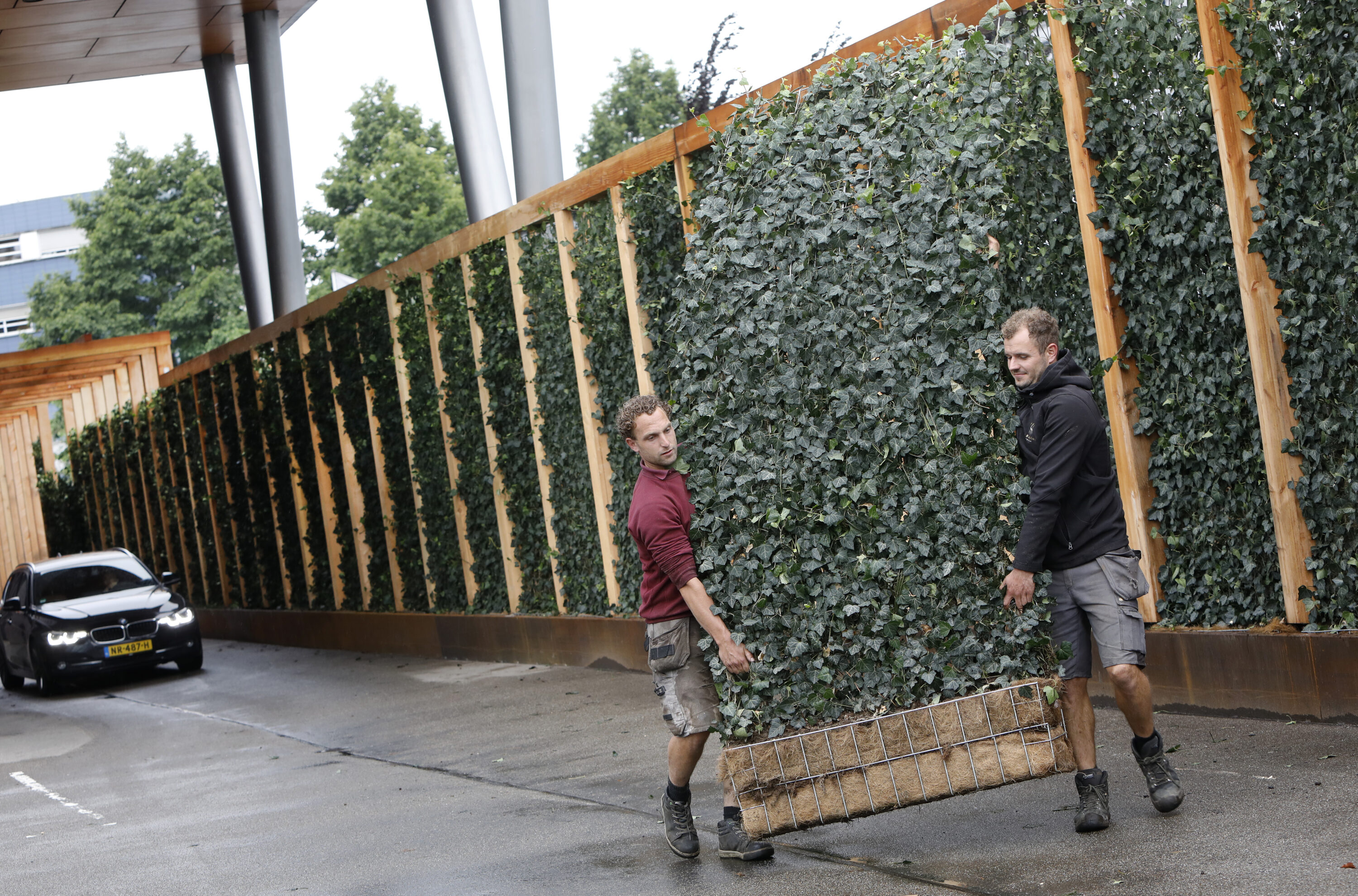 Mobilane Green Screen Landscapers install a 3 metre high 100 metre green screen walkway at the Van der Valk Amersfoort A1 hotel in The Netherlands