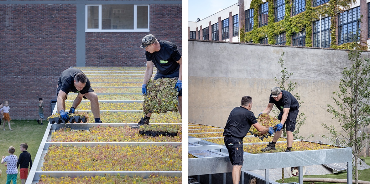 Mobilane MobiRoof ECO green roofs for bike shelters Antwerp