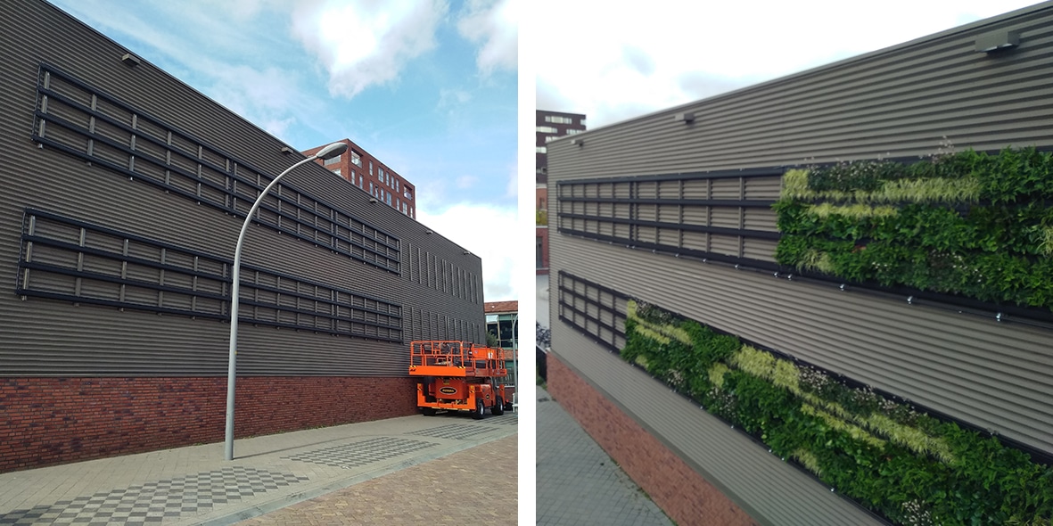 Green facade at Community School De Groene Draad Vlaardingen