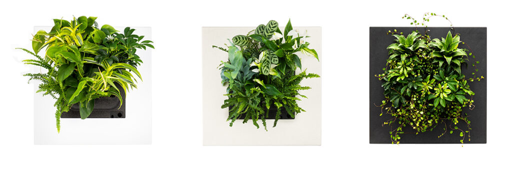 Christmas gift sustainable
