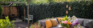 Benefits of green fences in the garden 3