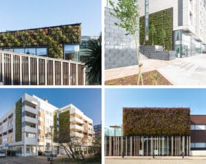 Mobilane dvantages green wall outdoor