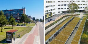 green roof public toilets