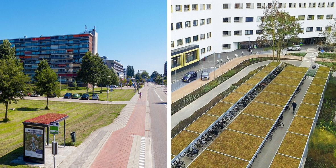 Expert in green roof systems for public toilets Mobilane