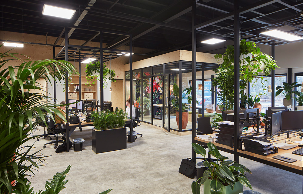 Interview: Biophilic Design in the office: trends &amp; developments