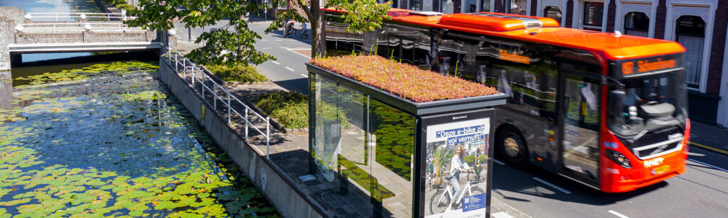 Mobilane MobiRoof green roof bus shelters can help face the biodiversity challenge in London