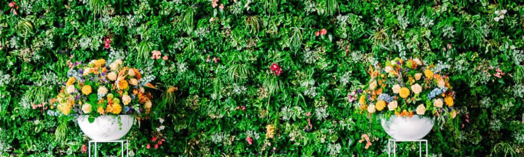 Mobilane website Header Green wall Eurovision Song Contest 2021