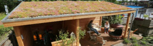 Mobilane website Header World Green Roof Day 2