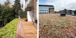 Mobilane MobiRoof 1 World Green Roof Day