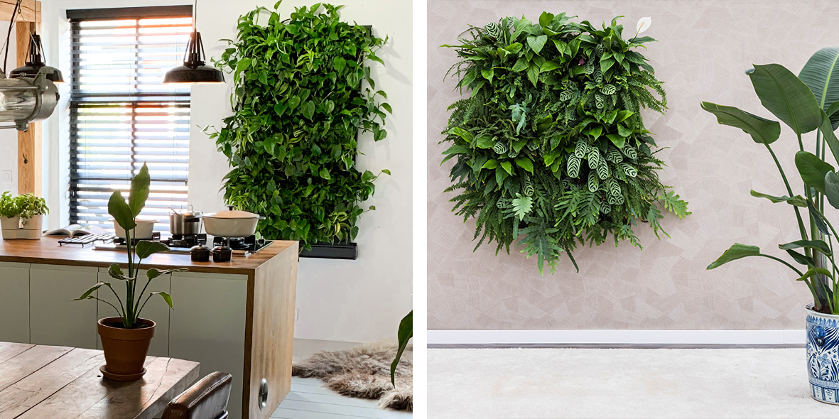 Pflanzen an der Wand mit LivePanel PACK Mobilane