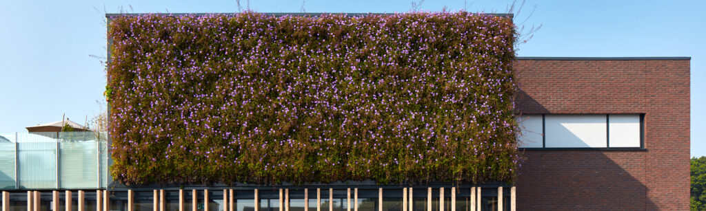 Mobilane LivePanel Outdoor what is urban greening