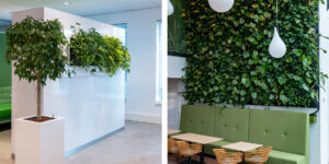 Mobilane LivePanel Indoor living wall Planon